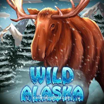 Wild Alaska Bigbola Slot